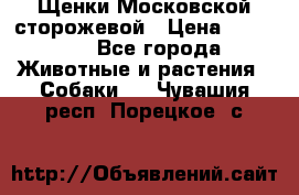 Щенки Московской сторожевой › Цена ­ 35 000 - Все города Животные и растения » Собаки   . Чувашия респ.,Порецкое. с.